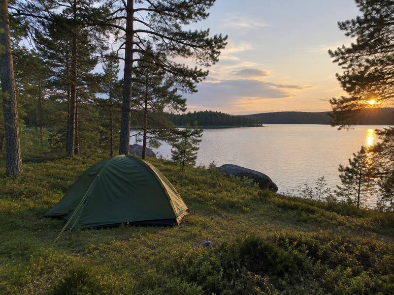 Tält på en glänta vid en sjö bland tallar